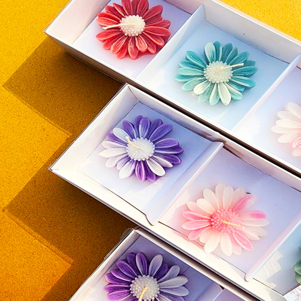 Daisy Gift Box