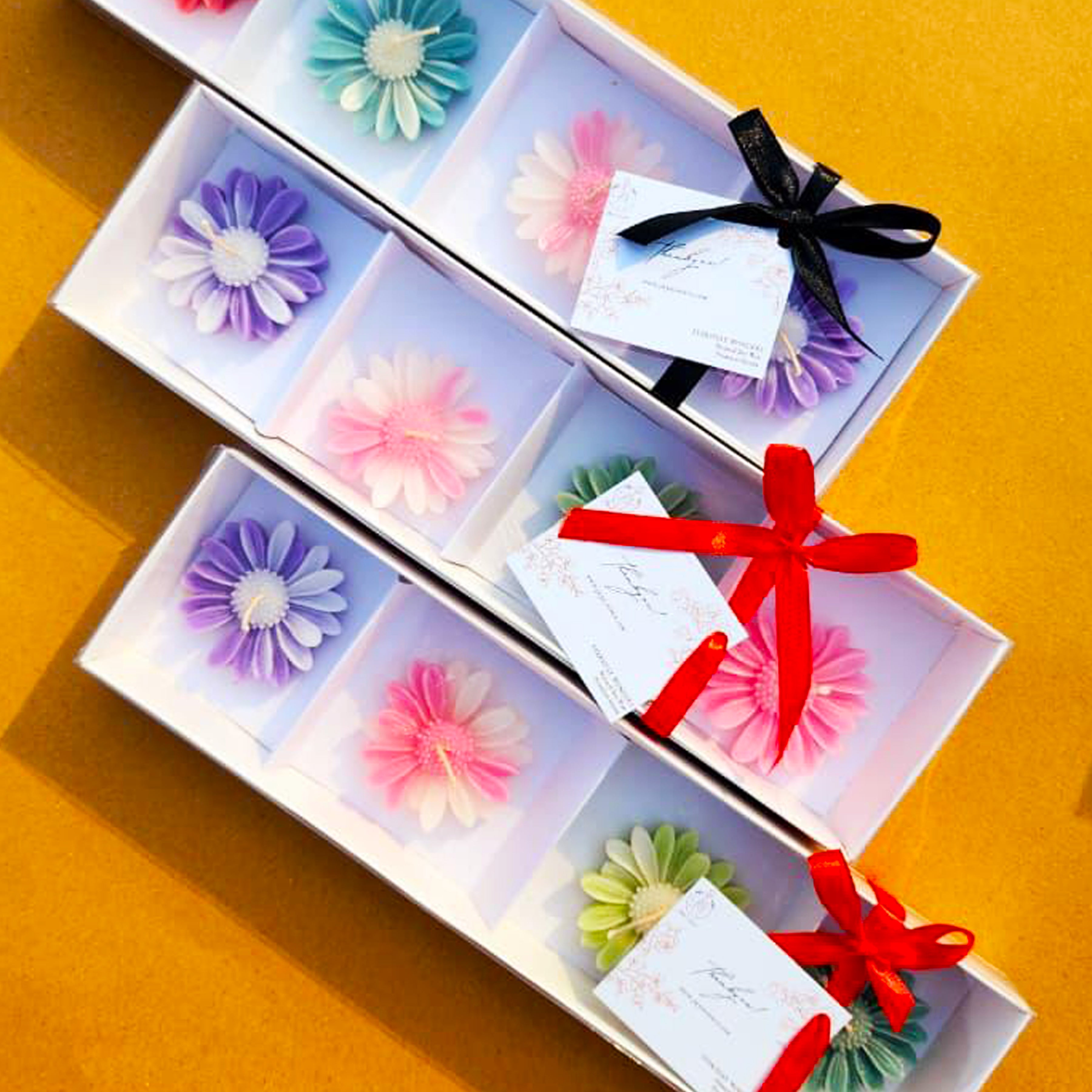 Daisy Gift Box