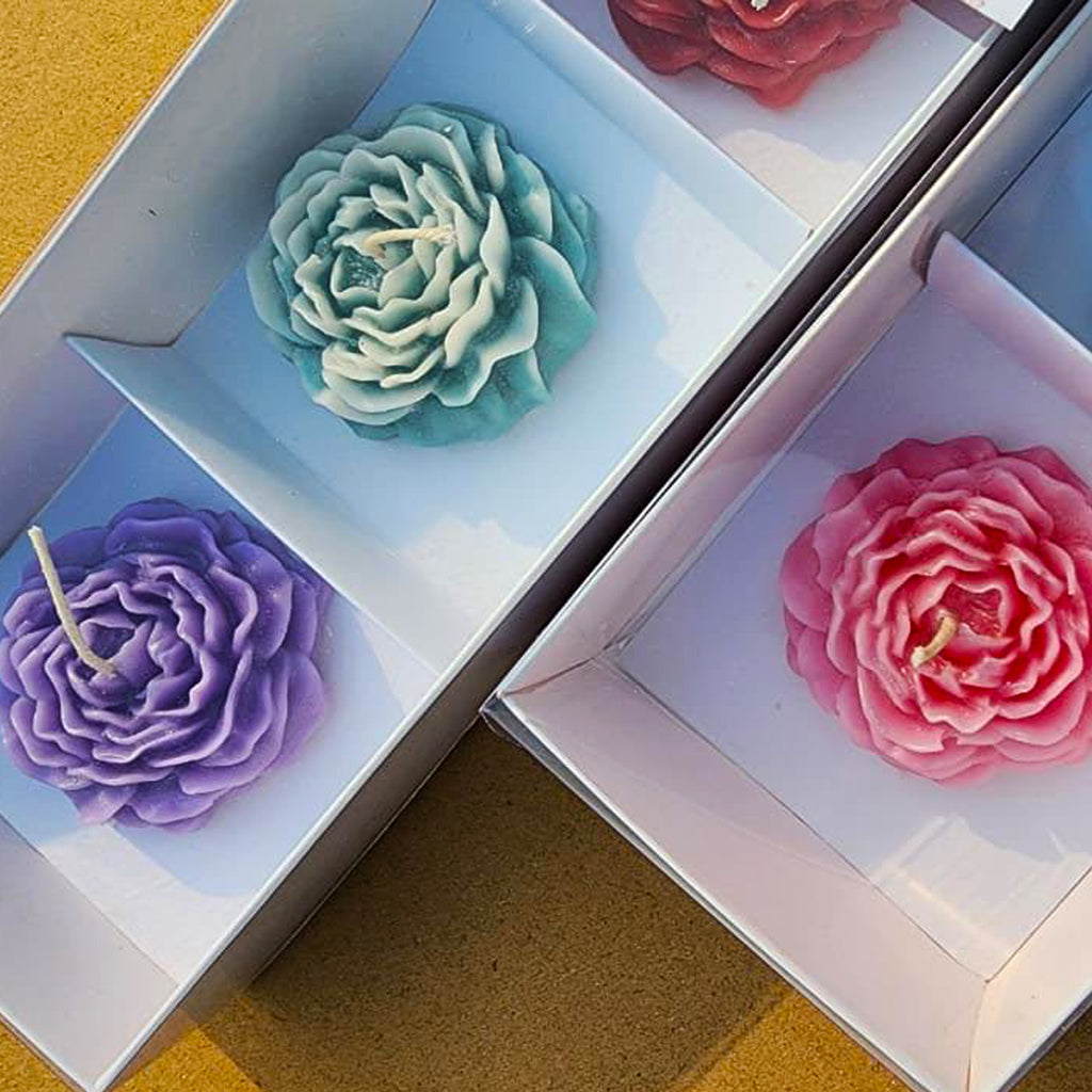 Mini Peonies Gift Box
