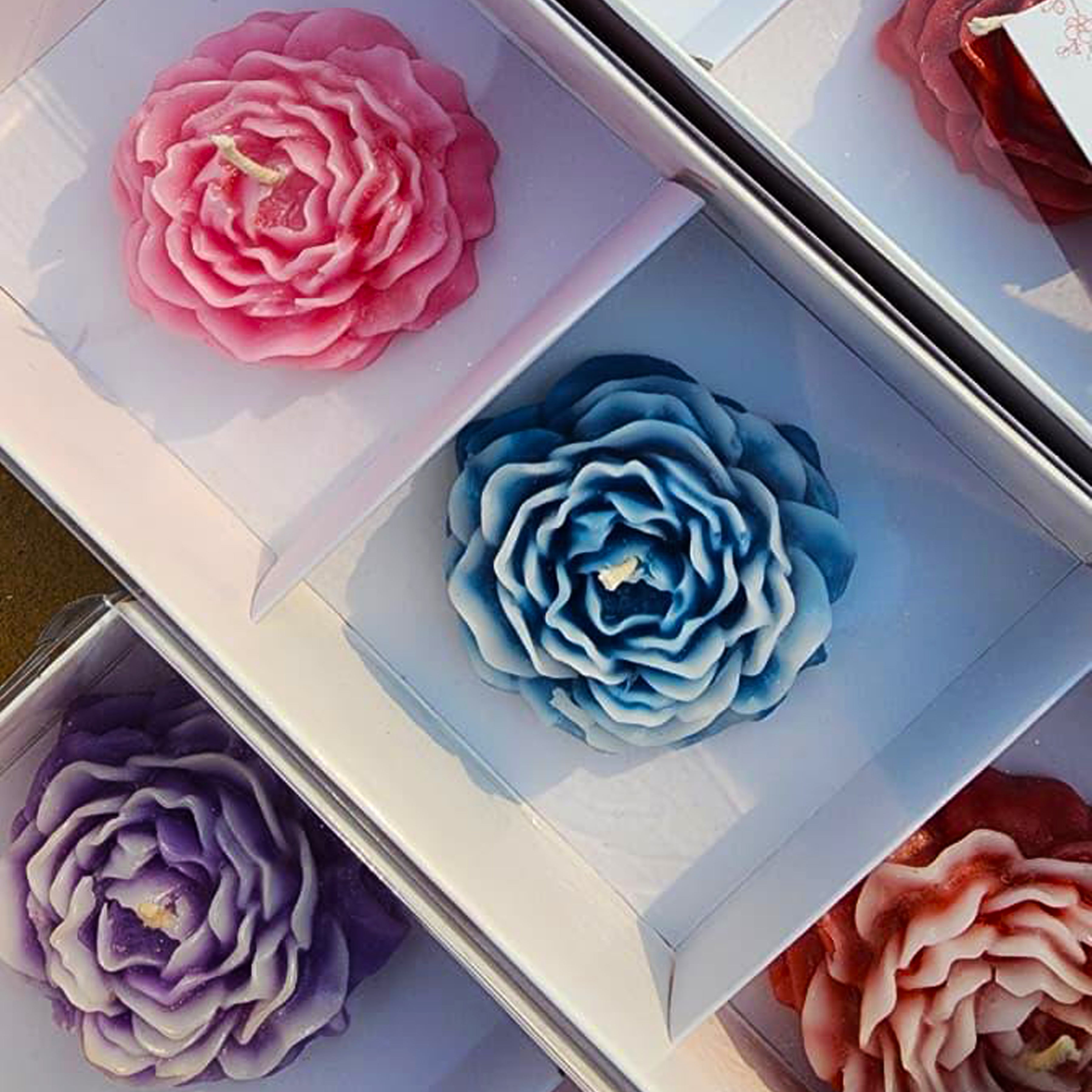 Mini Peonies Gift Box